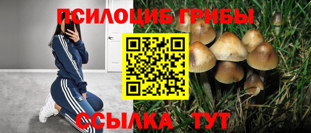 Галлюциногенные грибы GOLDEN TEACHER Сафоново