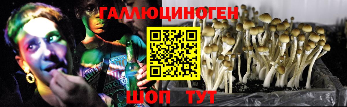 Сафоново  Галлюциногенные грибы прущие грибы  Галлюциногенные грибы мухоморы  Вход с VPN 