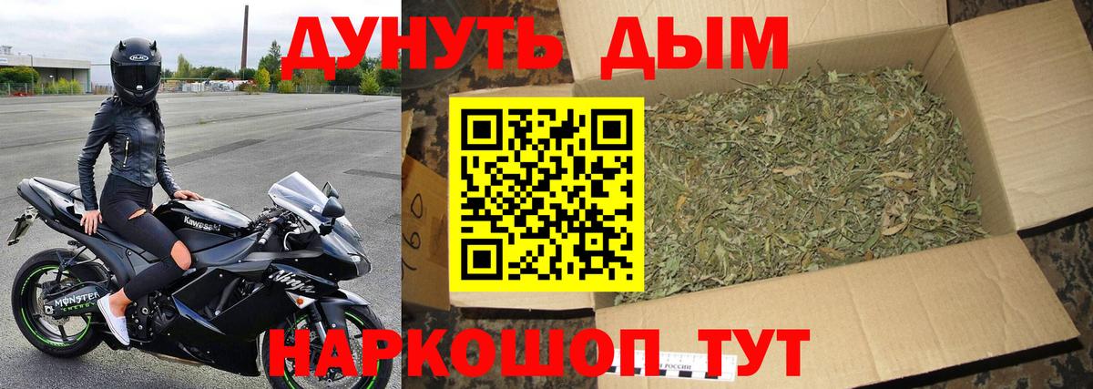 Канабис ГИДРОПОН  Канабис план  Вход с VPN  Конопля сатива  Сафоново 